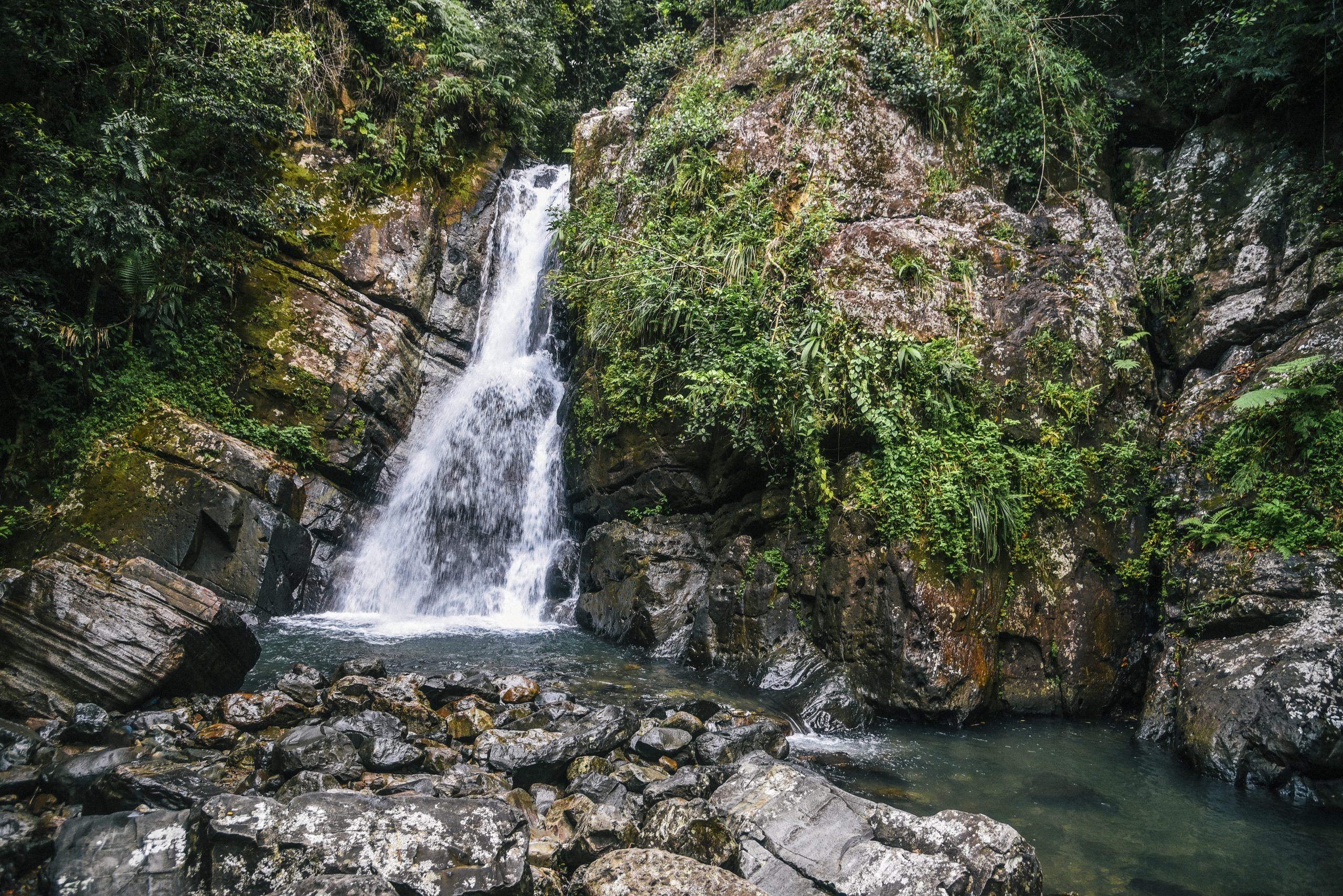 La Mina Falls - El Anvil National Forest