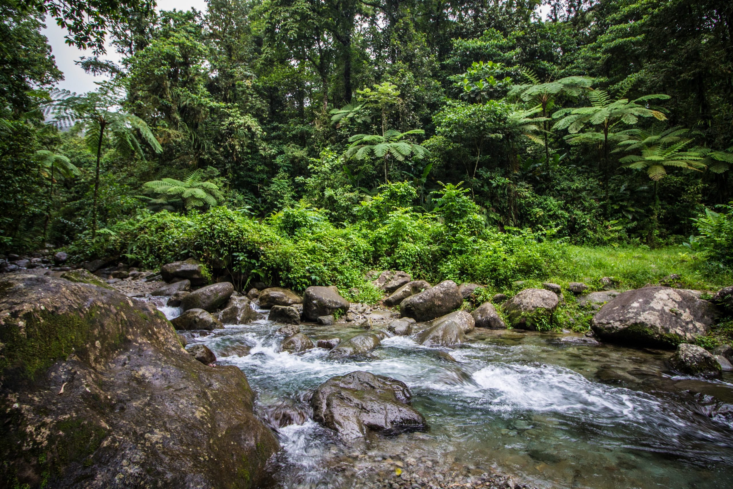 Beautiful stream in the caribbean